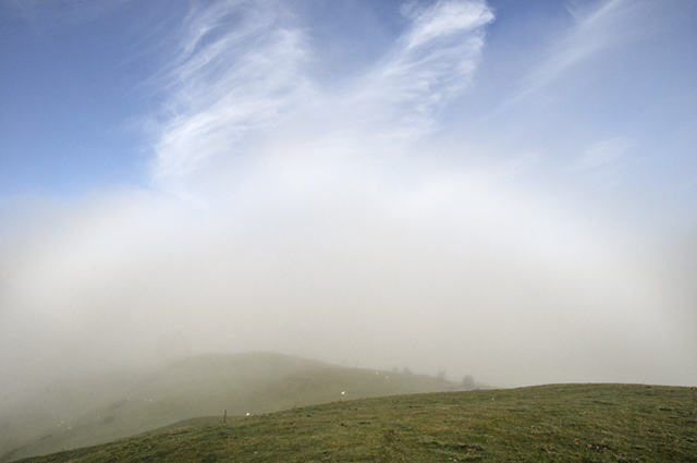 fogbow