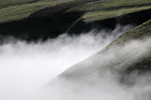 fog streaming up