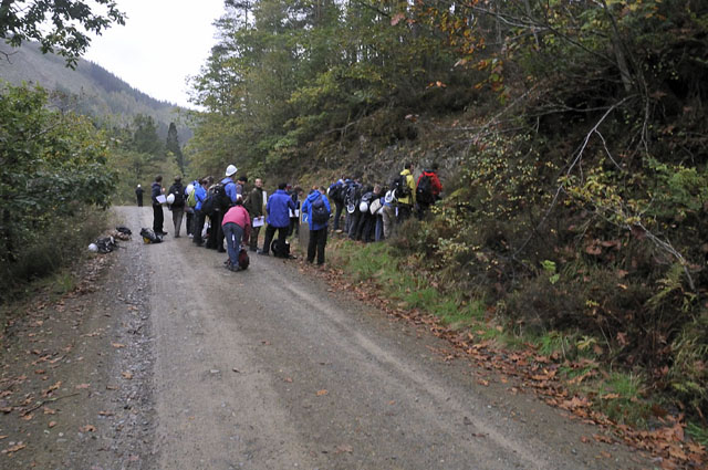 Coed y Brenin porphyry-copper outcrop