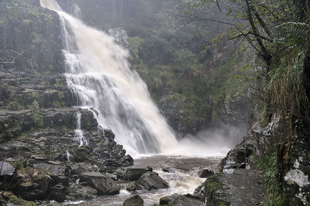 Pistyll Cain, Coed y Brenin