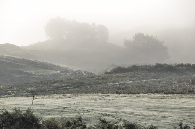 fog/dew machynlleth