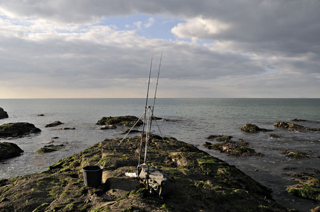 fishing borth