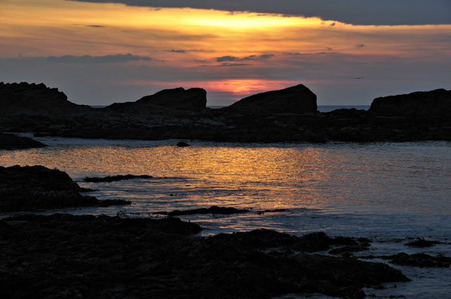 sunset Borth Reef