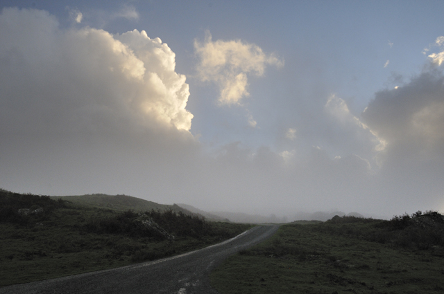 above
                  Derwenlas