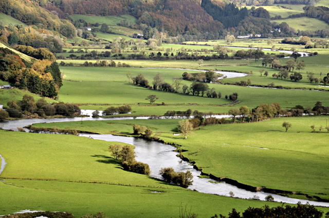 Dyfi Valley