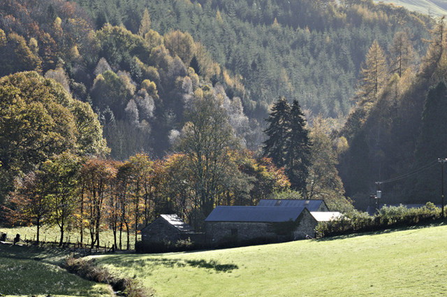 Cwm Llyfnant