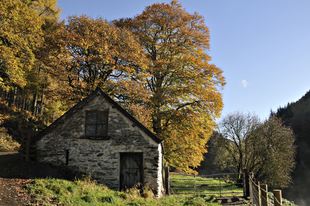 Cwm
                      Llyfnant