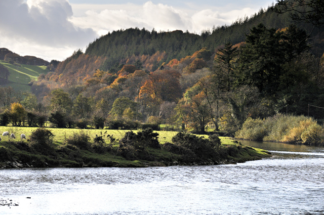 Dyfi Bridge