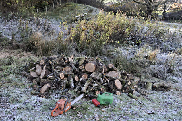 firewood