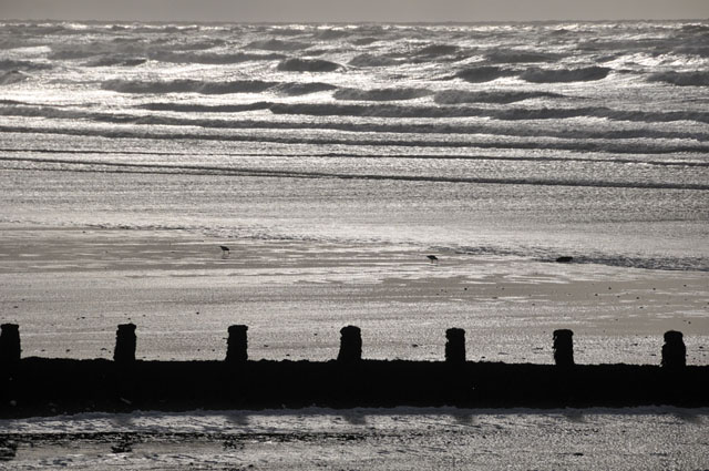 sea at borth