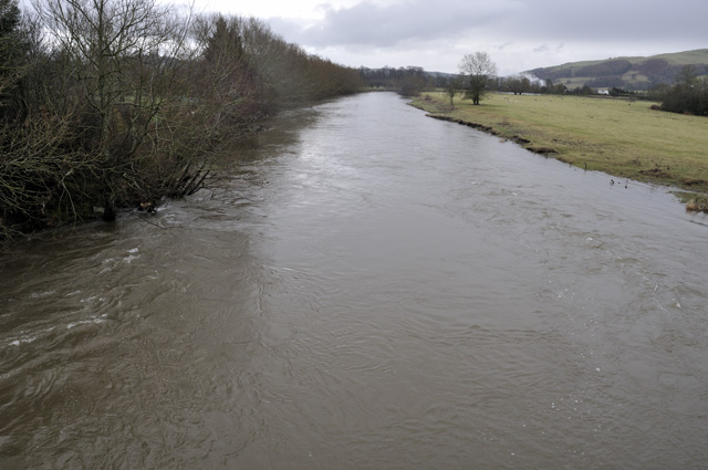 Severn at Caersws, Xmas Day 2012