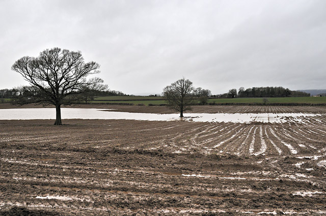 Waterlogged field near Leominster