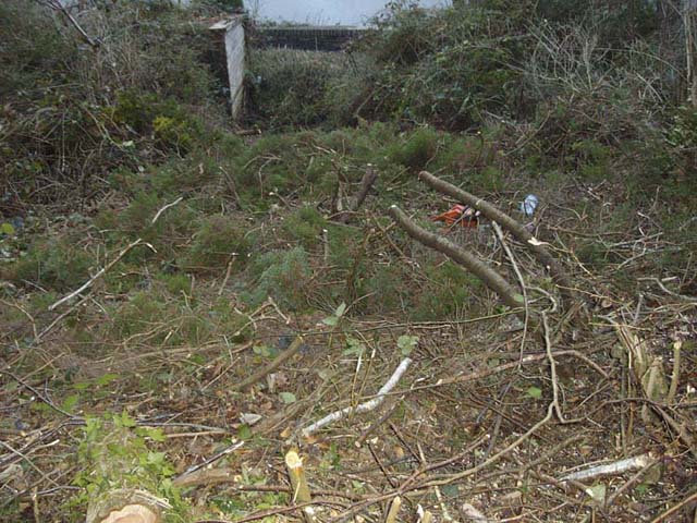 During second session