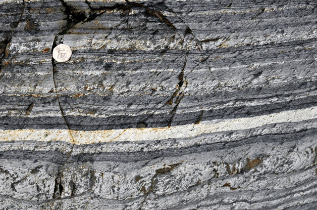 Maentwrog Formation, Penrhos member