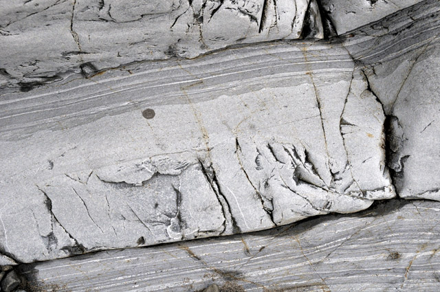 Maentwrog Formation, Vigra member