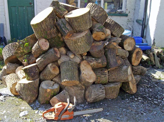 winter firewood