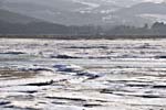 Ice-floes on the Dyfi Estuary at Gogarth, December 2009
