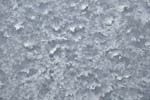 Frost-crystals on window, Machynlleth December 2010
