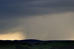 Tremendous downpour at sunset over Plynlimon, July 2009