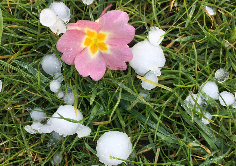 large hail