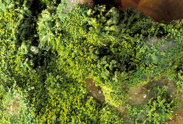 Pyromorphite - a chloro-phosphate of lead, from Central Wales