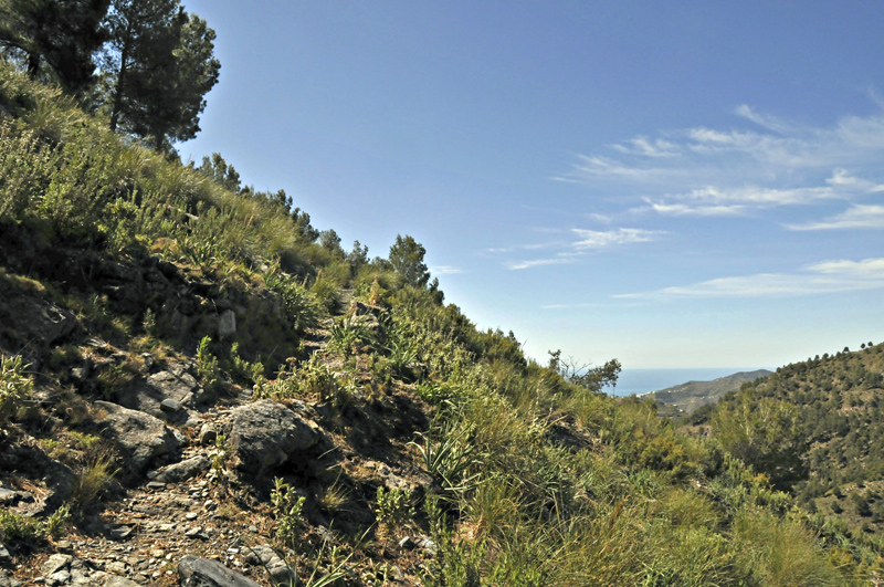 Path above Fabrica de la Luz