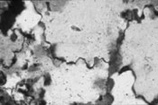 Thin section of Gold-belt vein quartz with typically severe grain-margin suturing due to deformation - copyright National Museums & Galleries of Wales