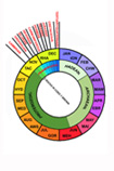 The 4600 million years of geological time plotted against the 12-month Human year!