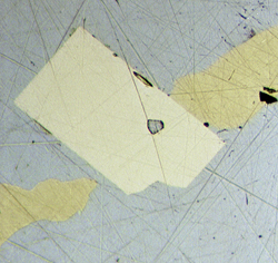 Tucekite, the first UK occurrence of this Ni-Sb sulphide, in a polished ore sample from Central Wales. Crystal size around 0.5mm.