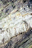 Tuff-turbidite bed carrying mineralised syn-tectonic brittle fractures in an otherwise argillaceous sequence, Cwmorthin, North Wales