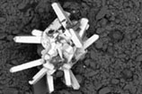 SEM Backscatter image of dysprosian xenotime from a syn-deformational vein, Blaenau Ffestiniog, North Wales - copyright National Museums & Galleries of Wales