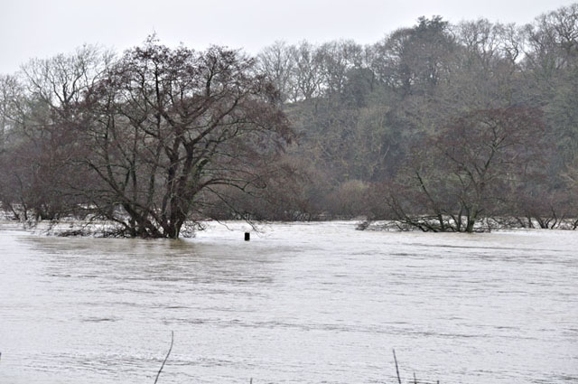 Flooding near Derwenlas, January 13th 2011