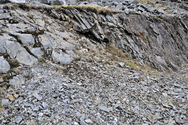 Grey mudstone at the Ordovician-silurian boundary, mid-Wales