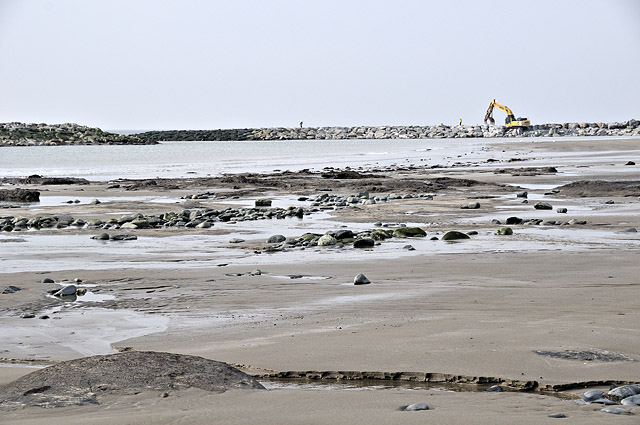 Peat beds at Borth, March 2012