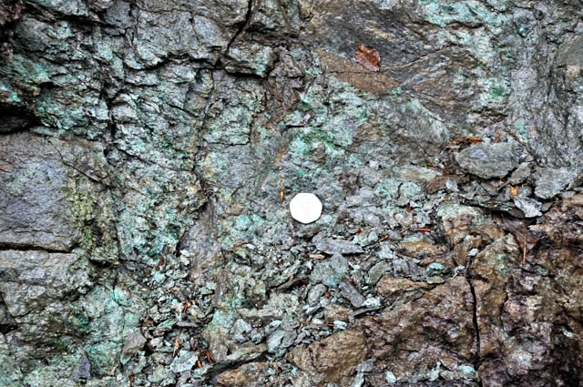 Close-up of orezone outcrop, Coed y Brenin