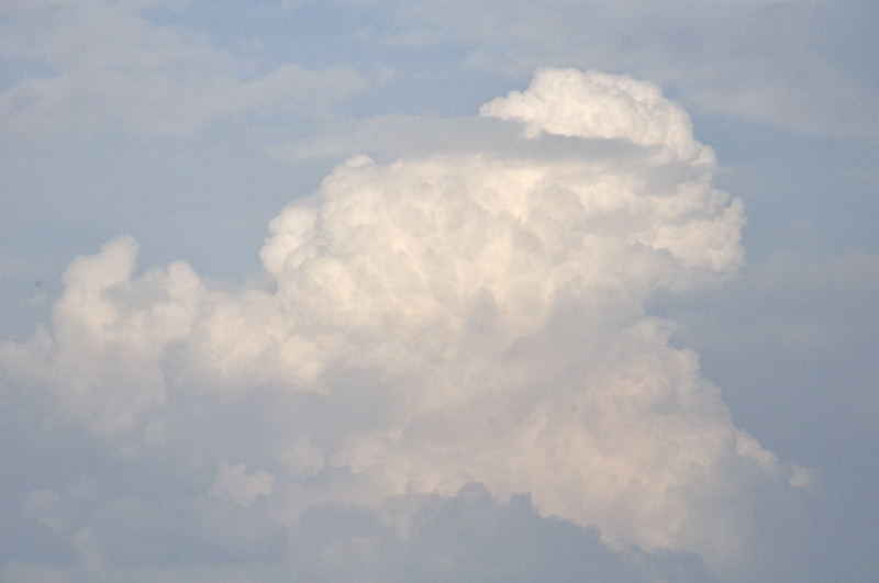 convection