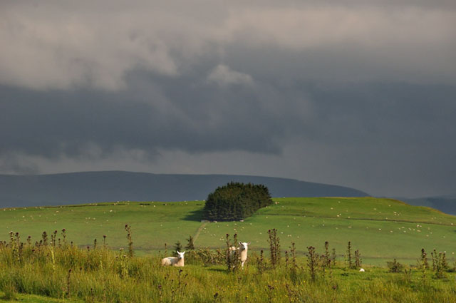 Storm, July 8th 2011, that caused flash-flooding around Llanidloes