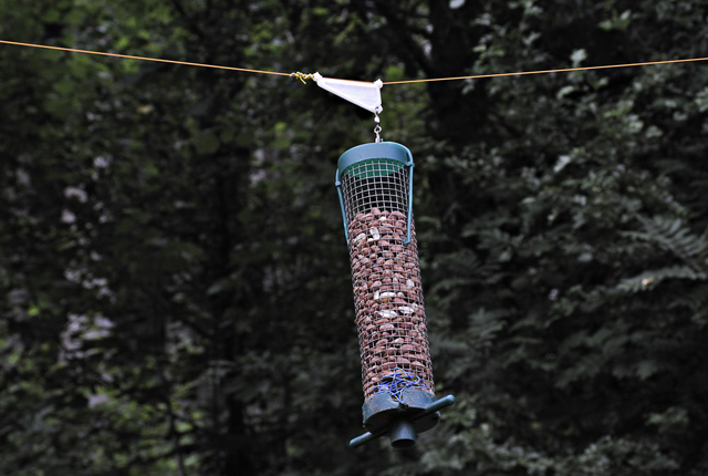 bird-feeder mount