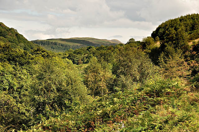 Lower wooded Leri Valley, Braich-Garw near Talybont