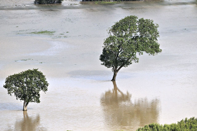 floods, 16th August 2013