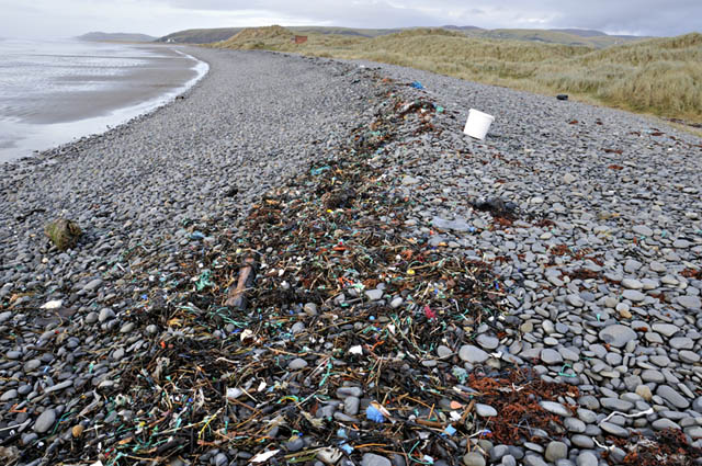 plastic washed up on borth beach