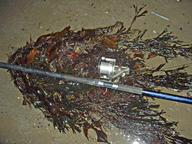 Seaweed causes difficulty in beach-fishing!