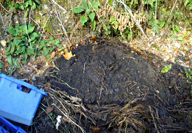 Compost heap unroofed!