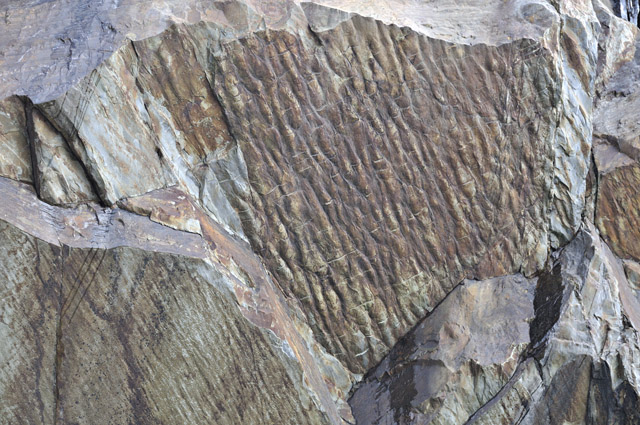Maentwrog Formation, ripple marks