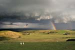 Rainbow under gust-front, Dylife