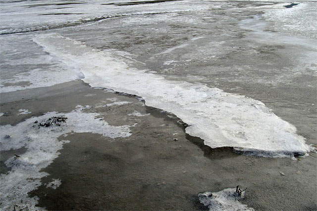 ice on the Dyfi Estuary