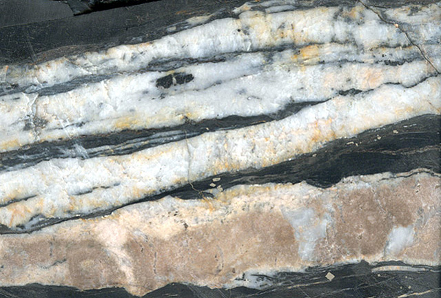 polished slice of a mesothermal gold-belt vein