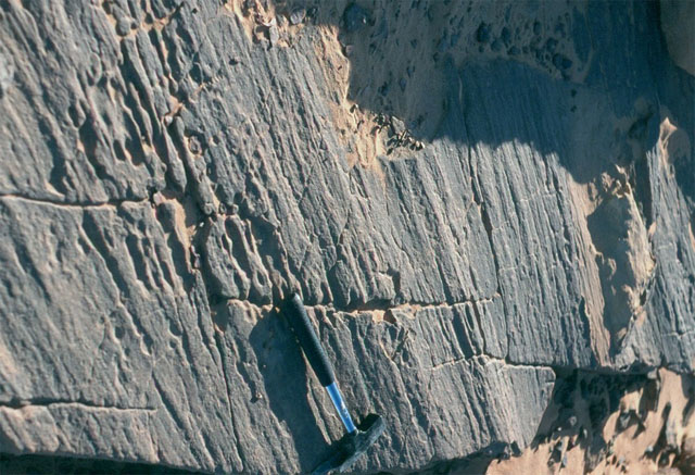 Hirnantian glacial striations on a rock surface, Libyan Desert