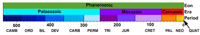 Phanerozoic timescale